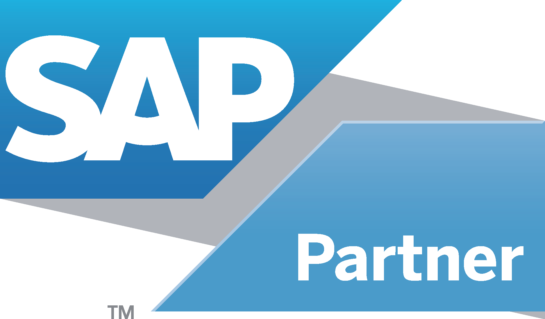 SAP Partner